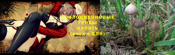 spice Навашино