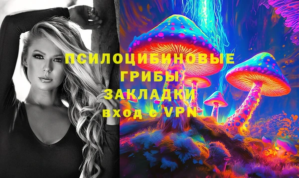 ГАЛЛЮЦИНОГЕННЫЕ ГРИБЫ Михайловка