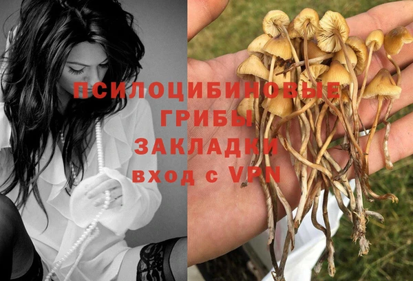 spice Навашино