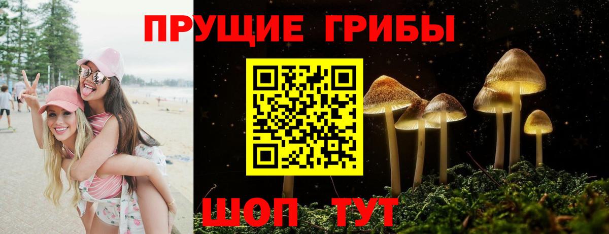 Псилоцибиновые грибы GOLDEN TEACHER Белогорск